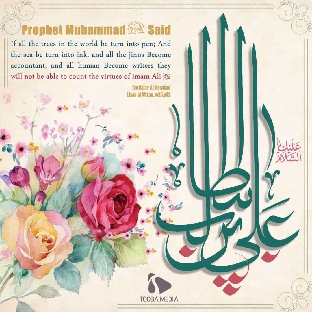 virtues of Ali ibn Abi Talib (a.s)