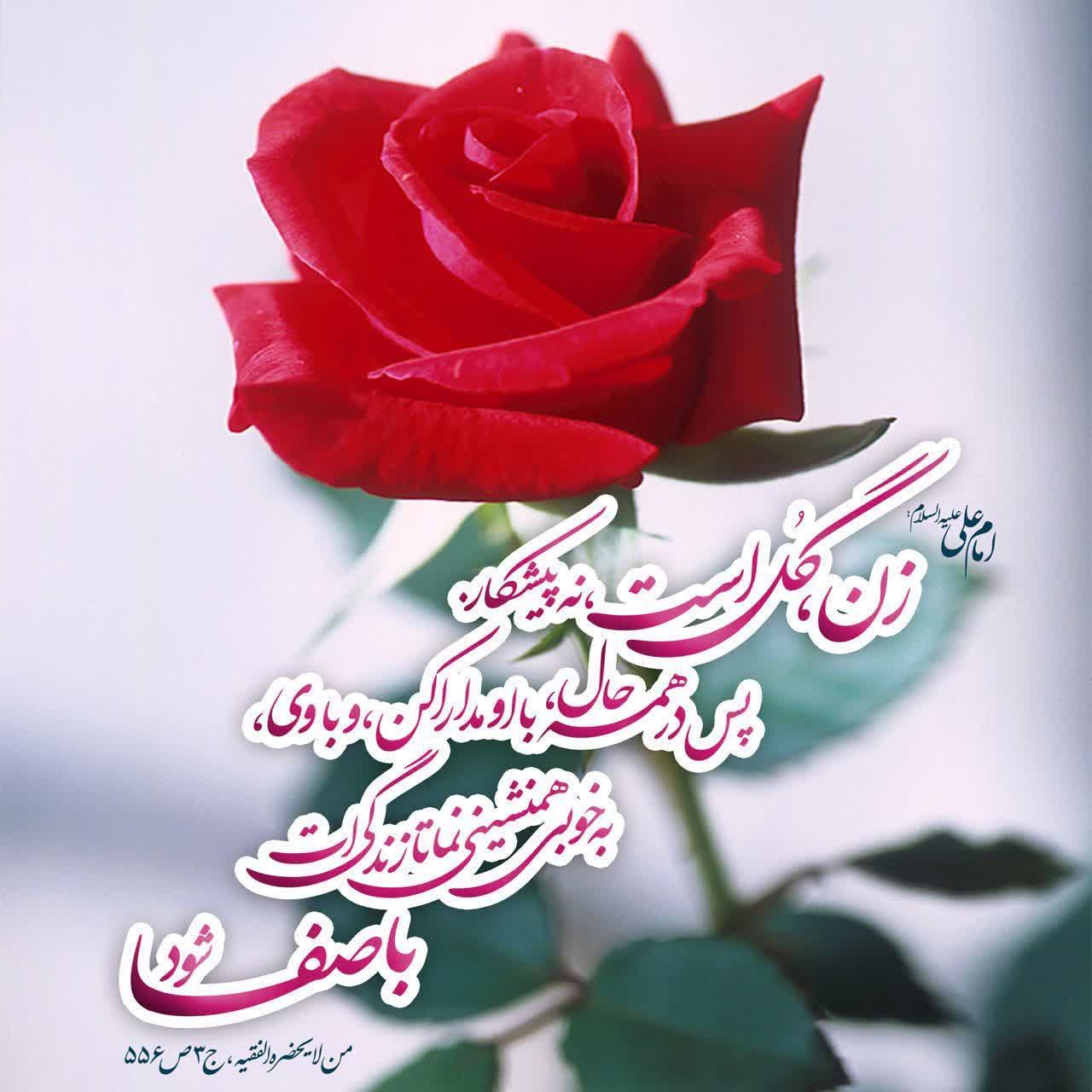 زن، گل است، نه پیشکار